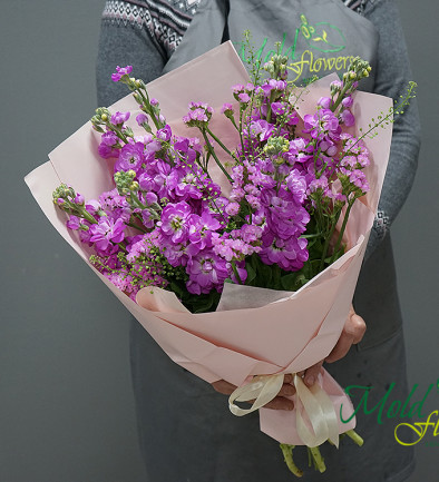 Bouquet of purple stock flowers photo 394x433